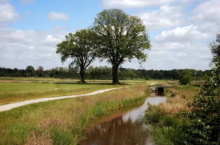 Omgeving