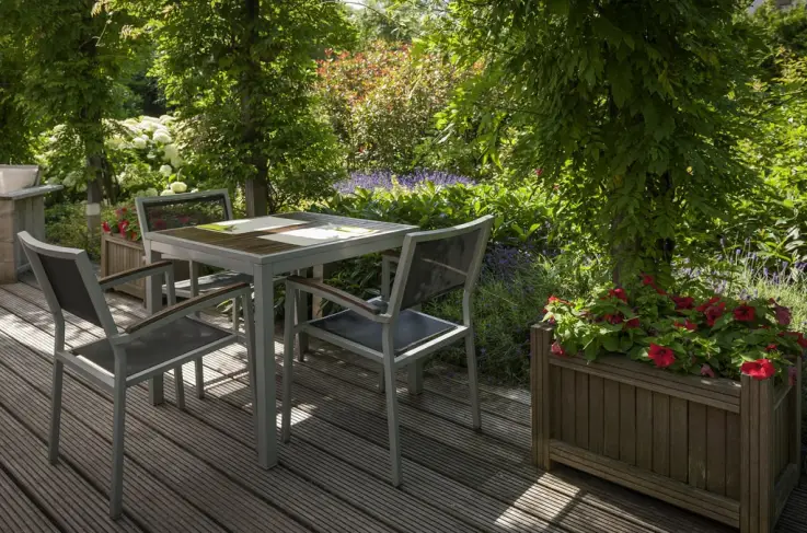 Terras