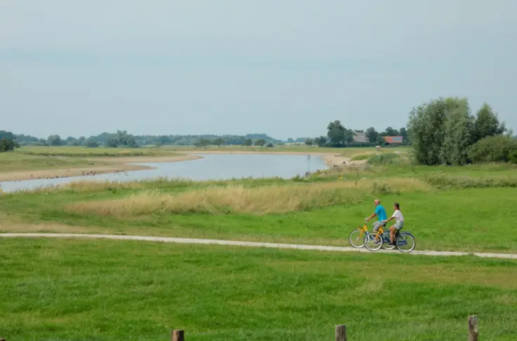 Omgeving