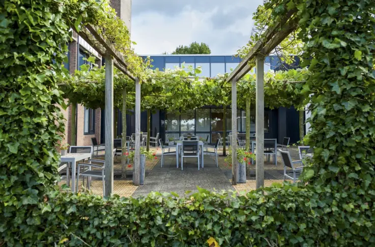 Terras