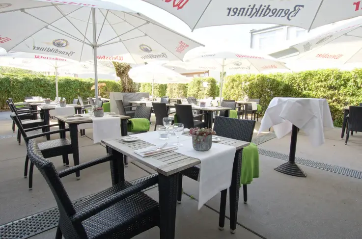 Terras