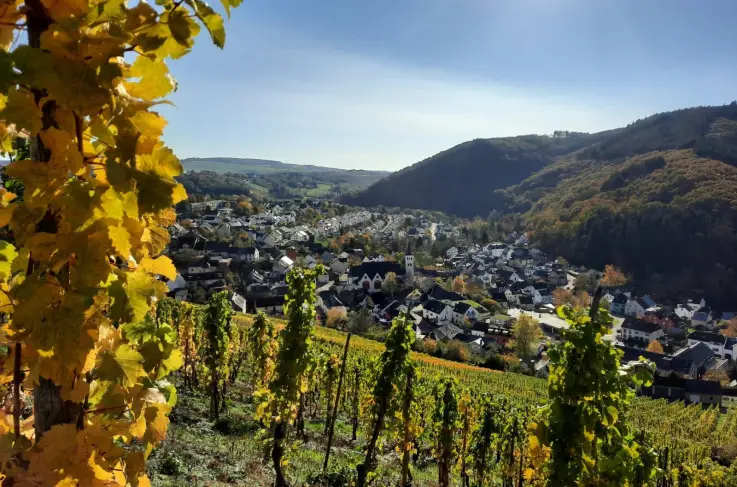 Uitzicht
