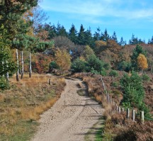Van der Valk De Molenhoek - Nijmegen (Mookerheide)