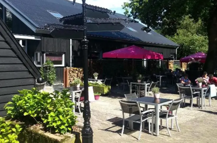 Terras