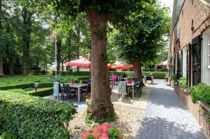 Terras