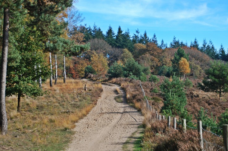 Mookerheide