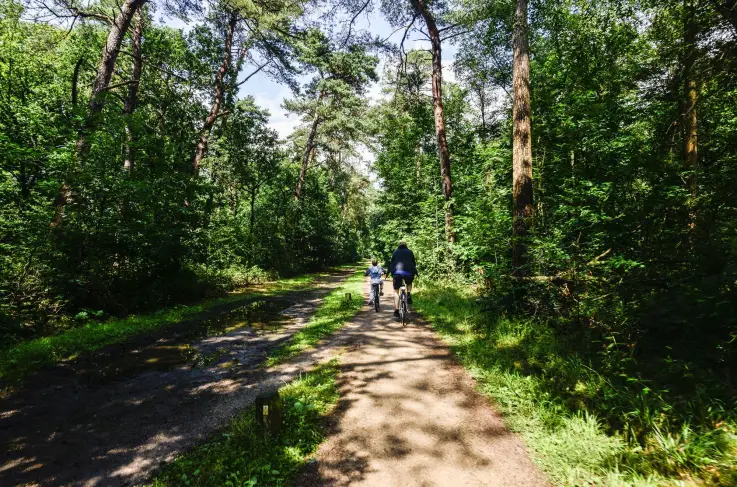 Fietsen