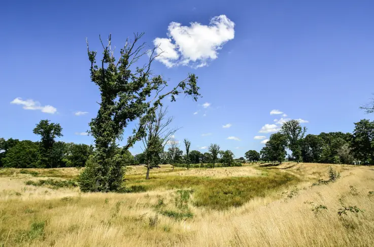 Omgeving