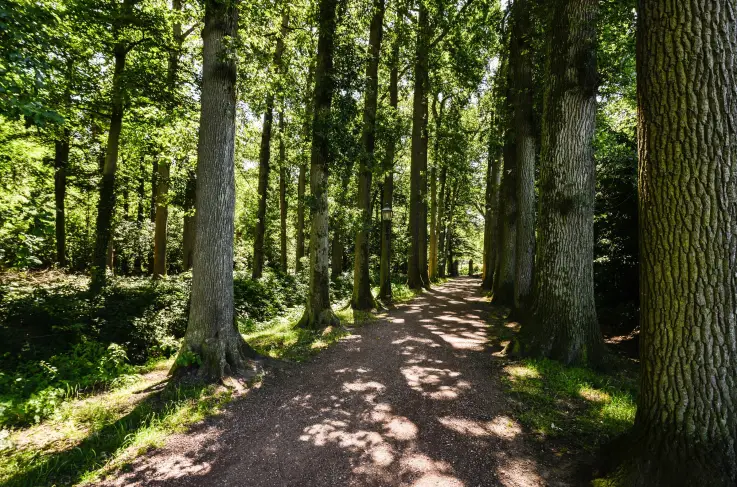 Natuur