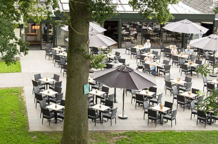 Terras