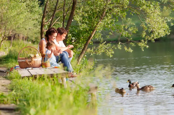 Algemeen Biesbosch