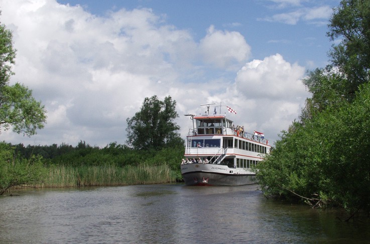 Omgeving - Biesbosch