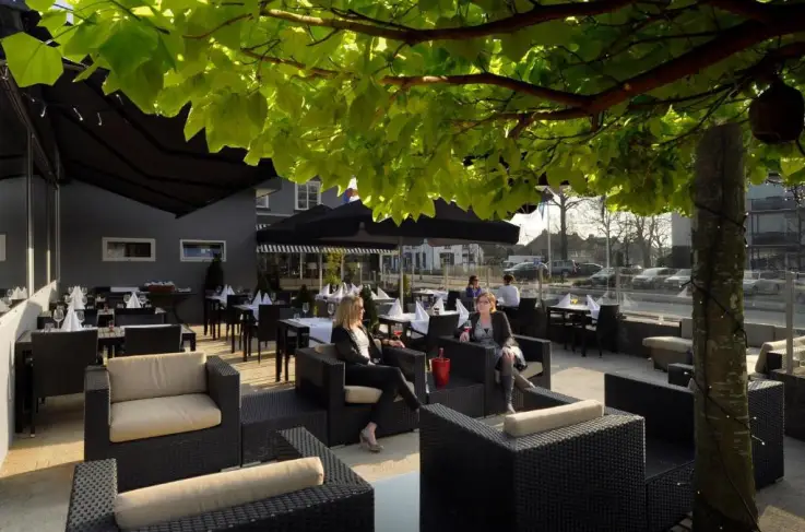 Terras