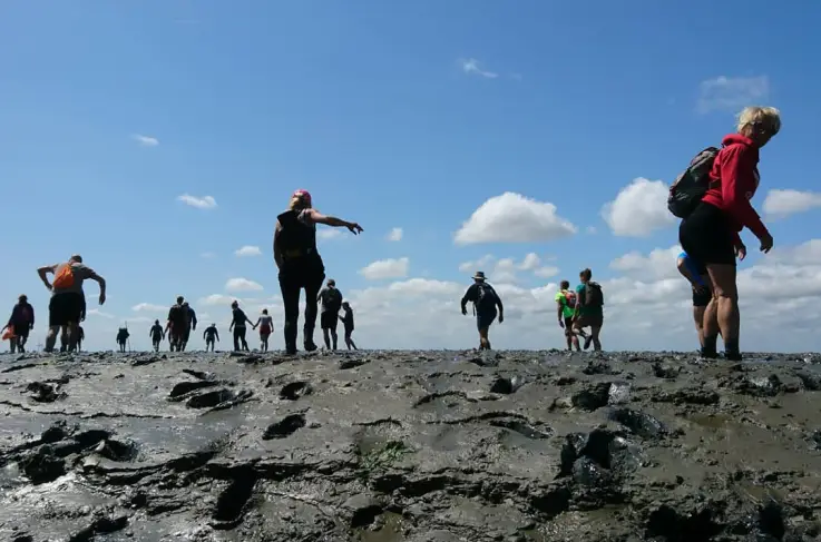 Wadlopen