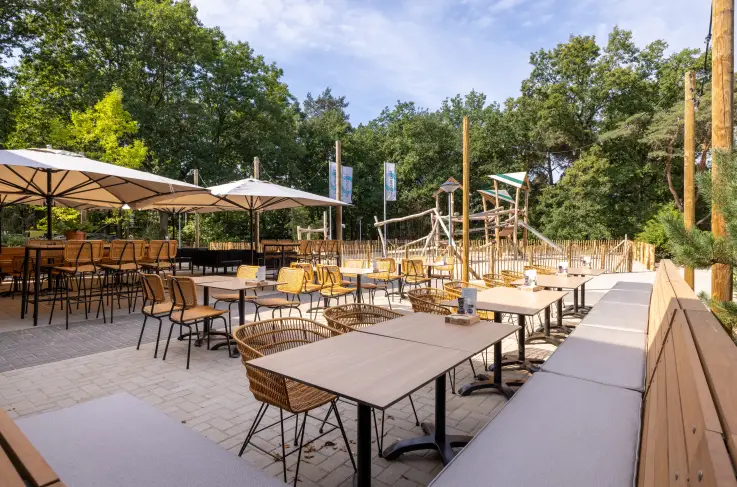 Terras