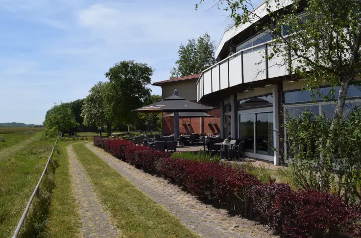 Terras