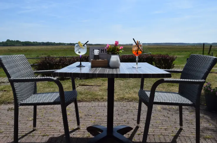 Terras
