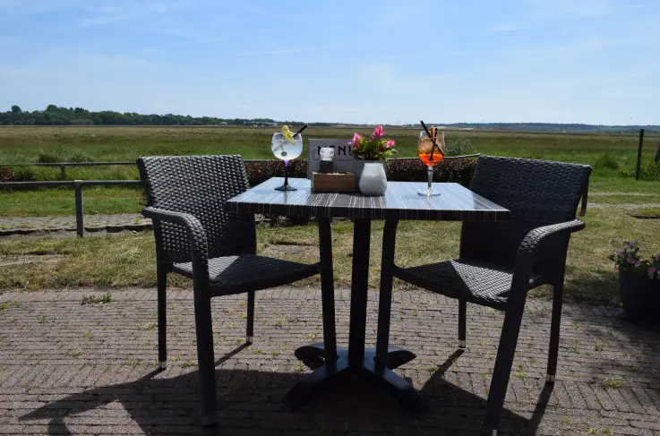 Terras