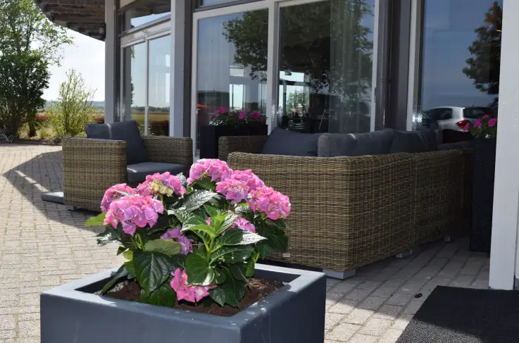 Terras