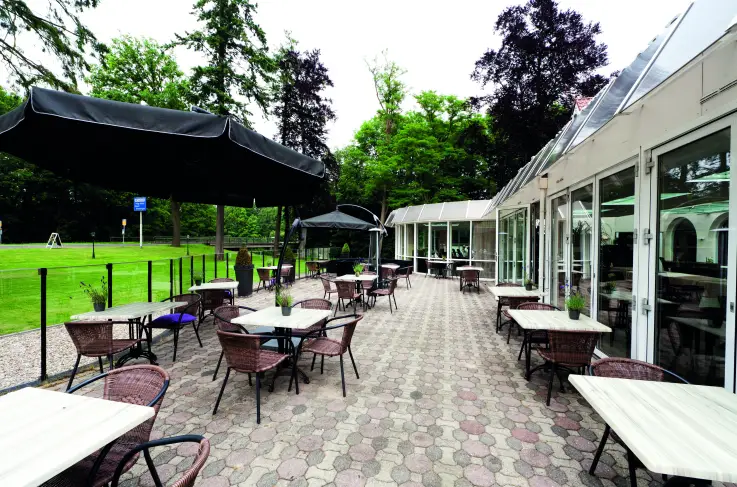 Terras