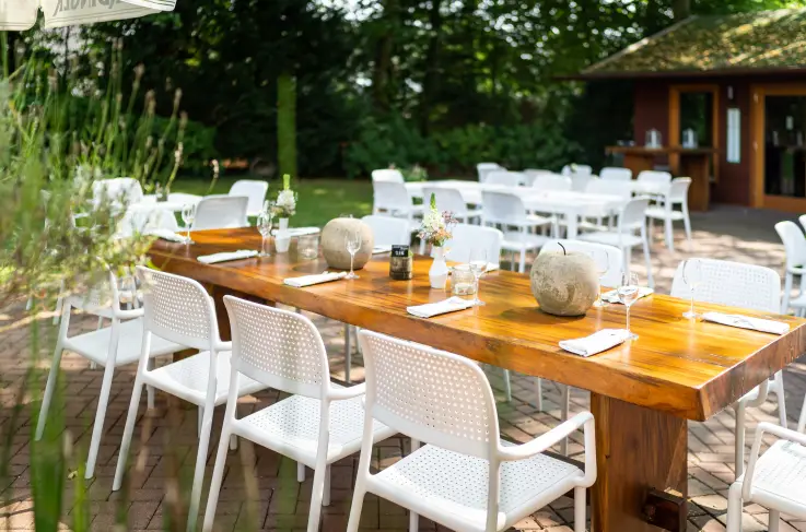Terras