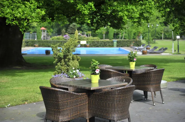 Terras