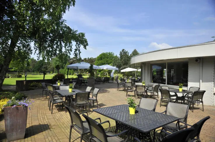 Terras