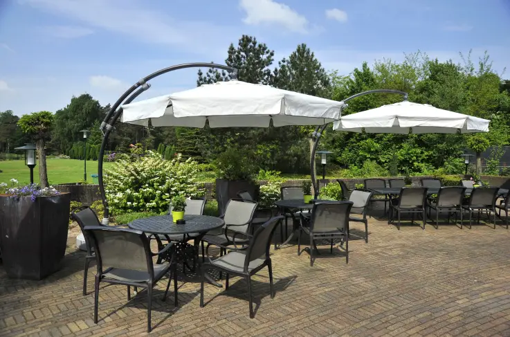 Terras