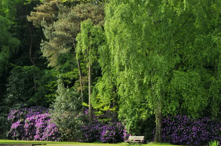 Hoteltuin