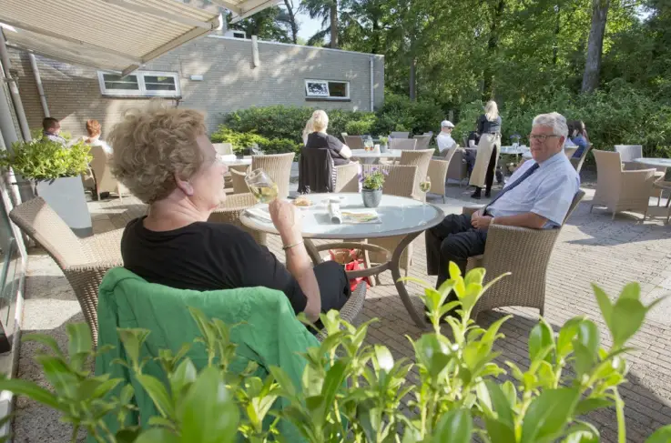 Terras