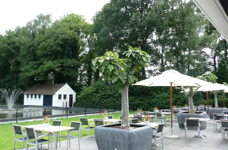 Terras
