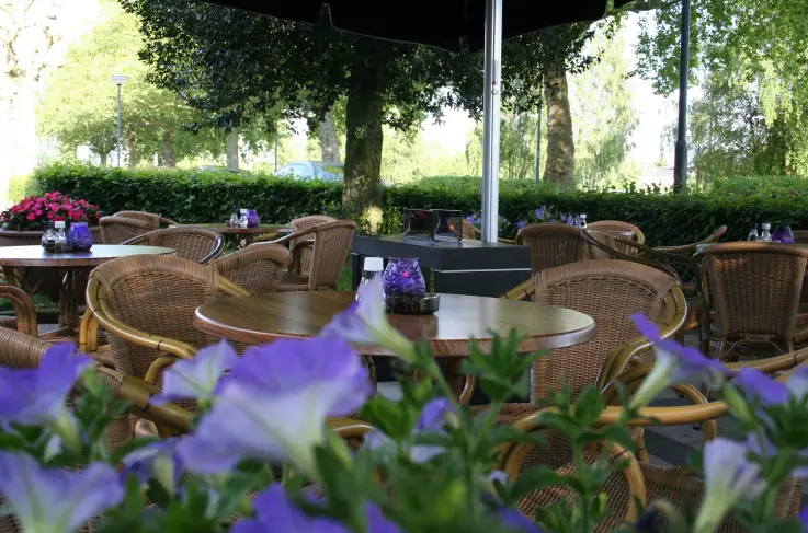 Terras