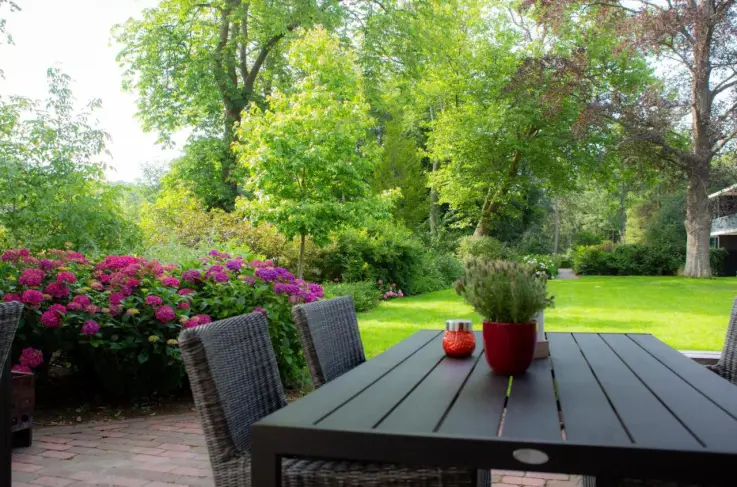 Terras