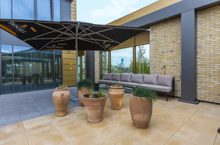 Terras