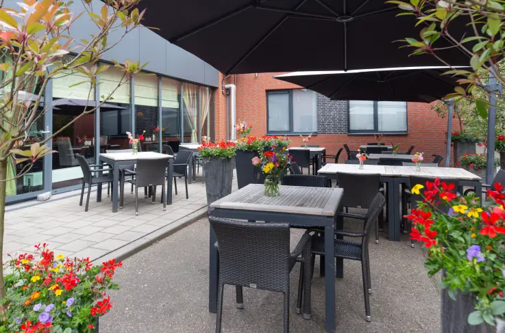 Terras