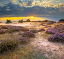 Fletcher Hotel Apeldoorn (Algemeen Veluwe)