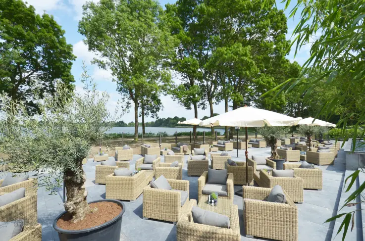 Terras