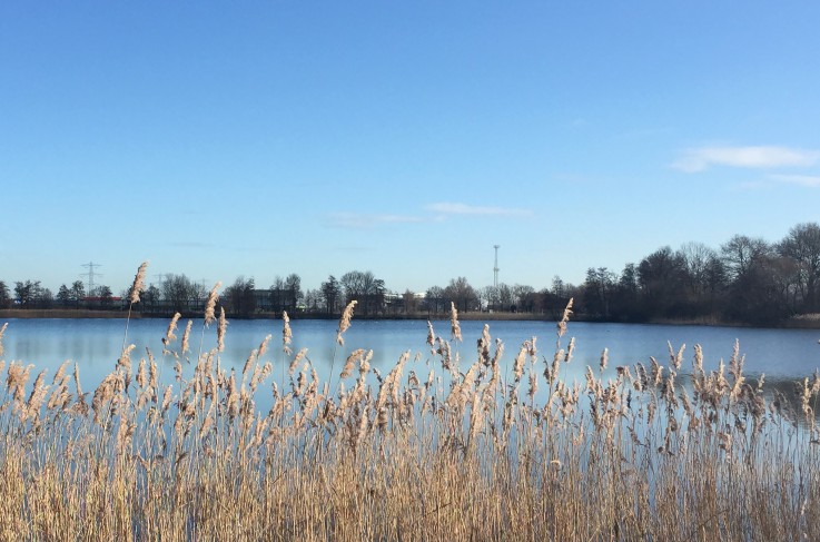 Omgeving Rosmalense Plas