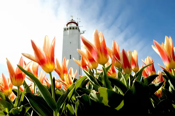 Noordwijk