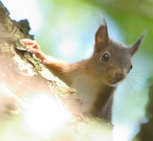 Fletcher Hotel-Restaurant ByZoo Emmen (Drenthe algemeen)