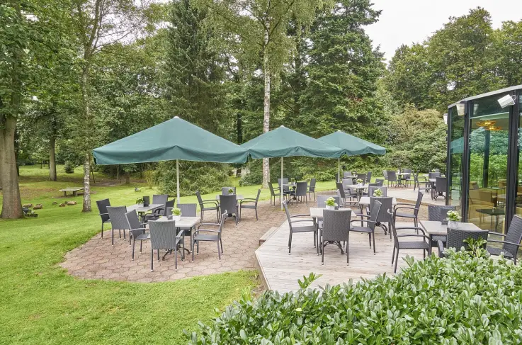 Terras
