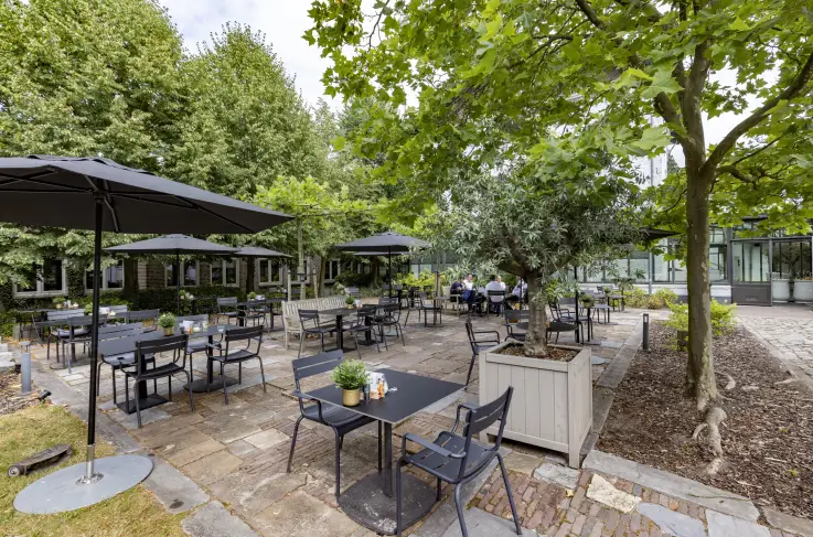Terras