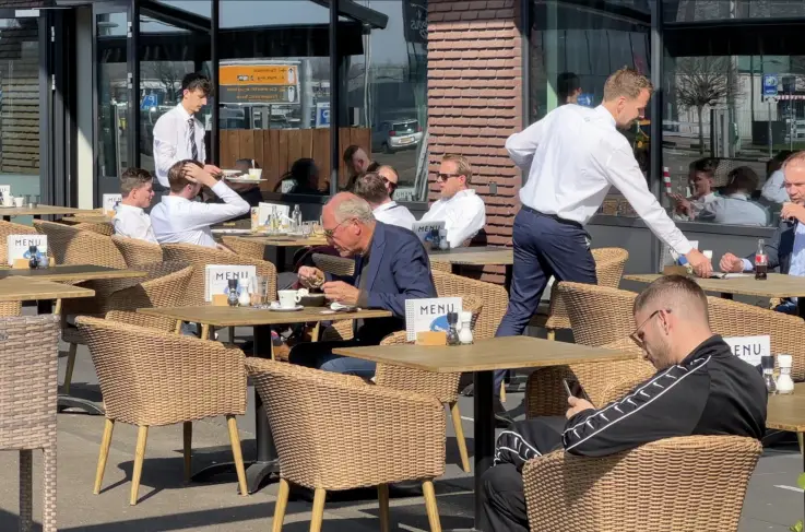 Terras