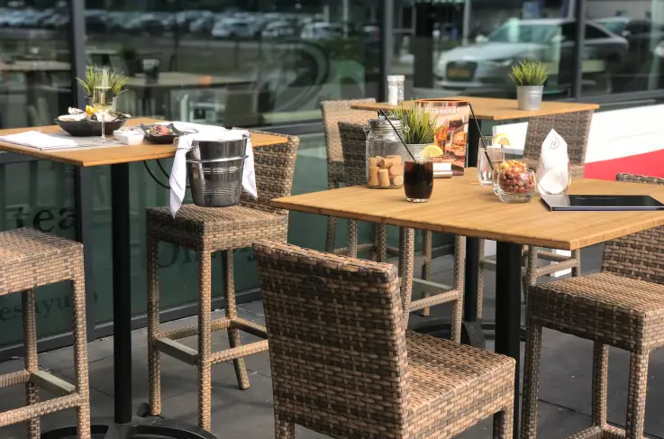 Terras