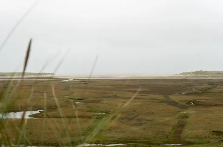 Omgeving
