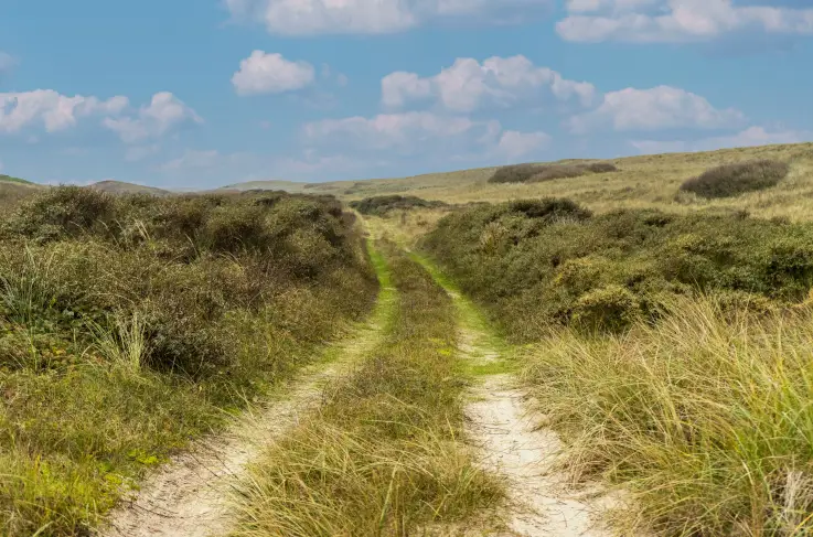 Omgeving