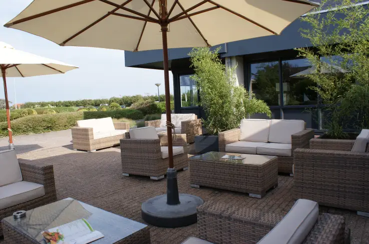 Terras