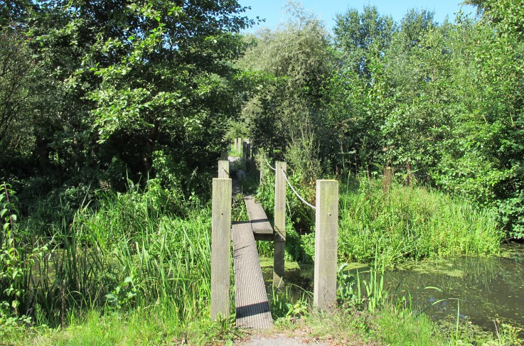 Omgeving- Natuurkwartier