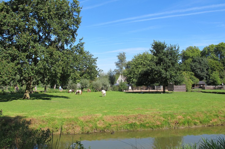 Omgeving- Natuurkwartier