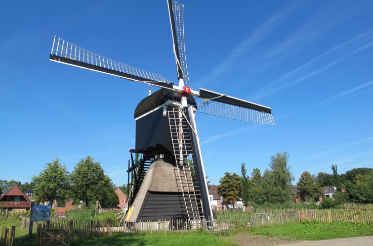 Omgeving- Natuurkwartier